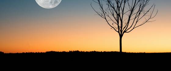 Moon Rising In Evening wallpaper for 3440×1440 (Ultrawide) (3440x1440)